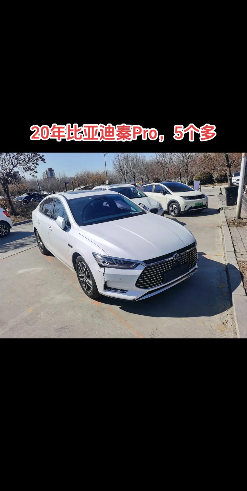 比亚迪秦proev,比亚迪秦Pro