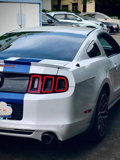 蛇标野马报价(蛇标的野马报价)