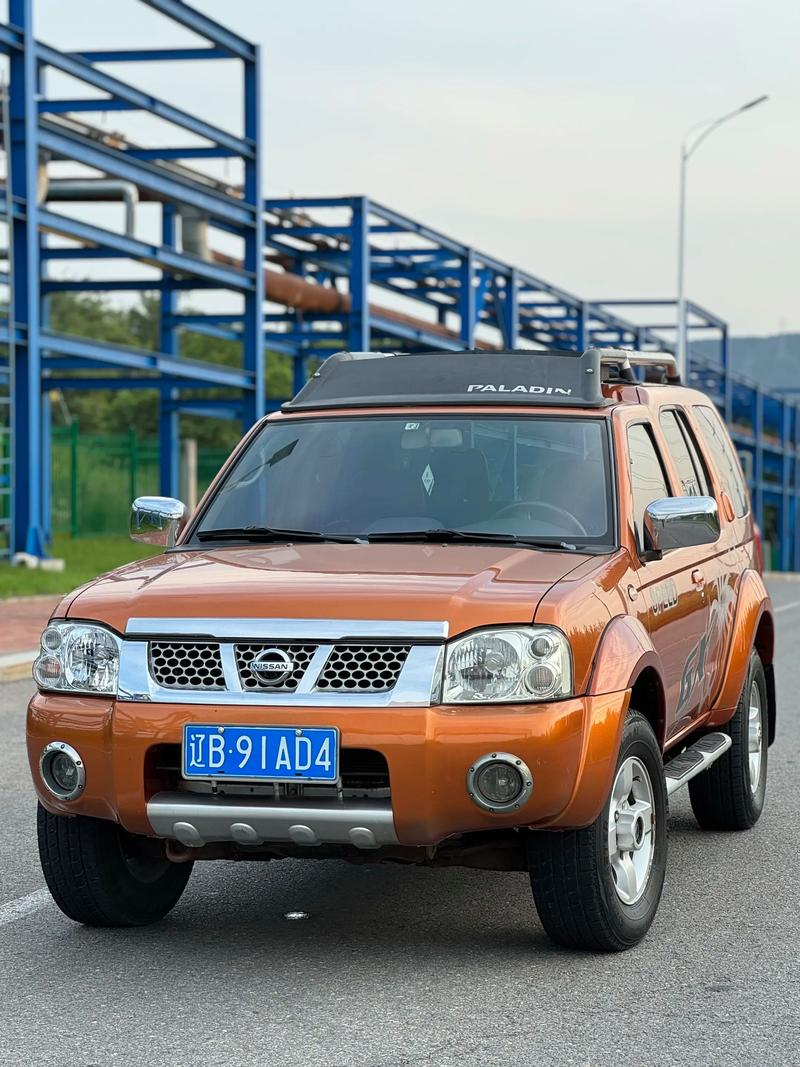 二手帕拉丁,二手帕拉丁为啥不值钱