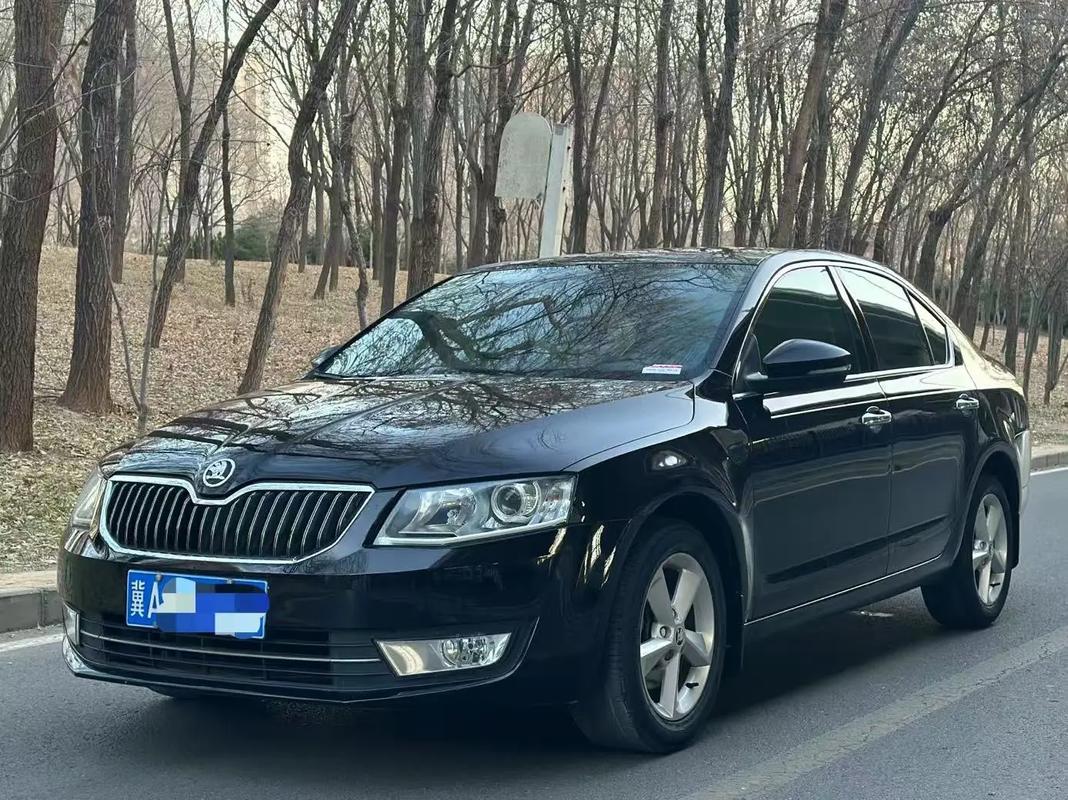 2019斯柯达明锐多少钱 2019斯柯达明锐15自动豪华版