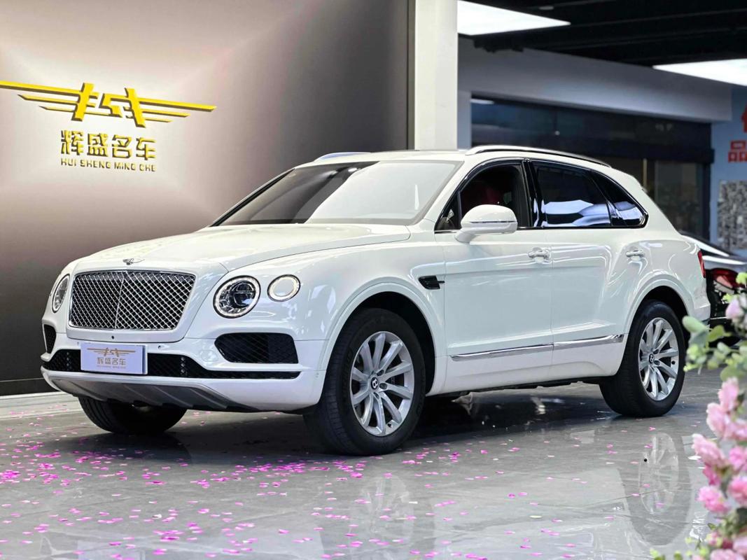 宾利越野车价格和图片800 宾利越野车报价表